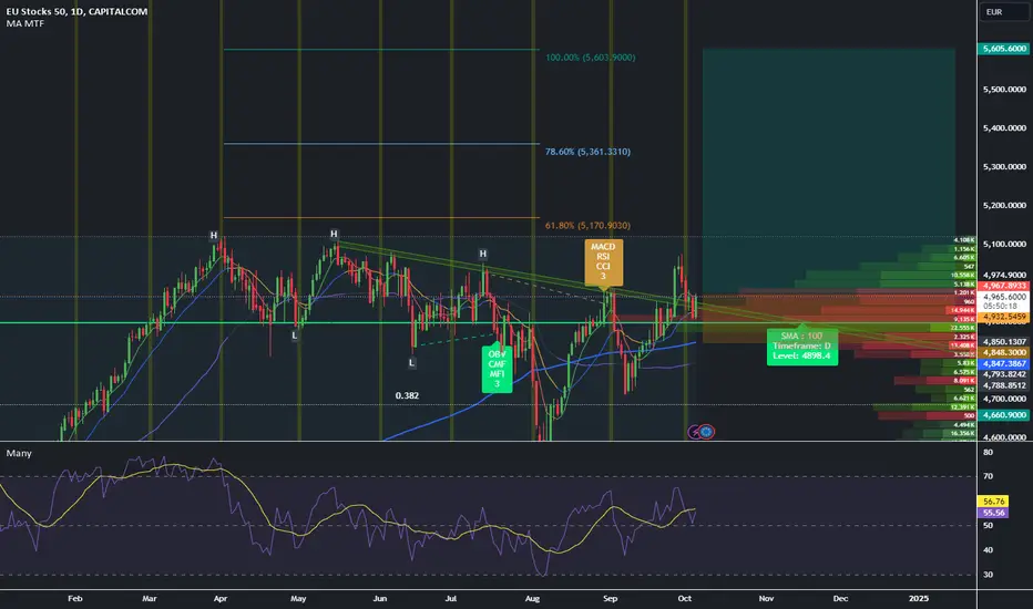 New Bullish Ryn