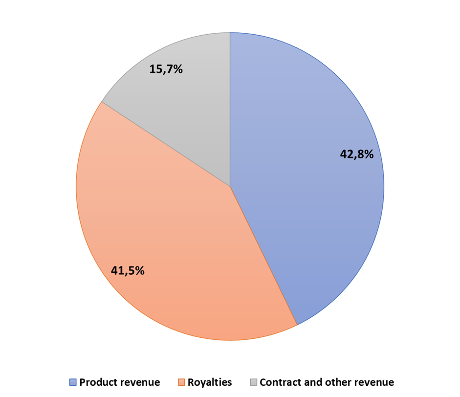 Company's revenue structure in H1 2024