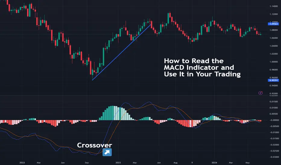 How to Read the MACD Indicator and Use It in Your Trading