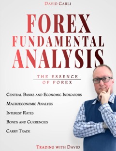 Forex Fundamental Analysis - The Essence of Trading: Forex Trading Method of Analysis for Experienced Traders and Beginners Explained in Simple Terms, Become a Profitable Forex Trader.